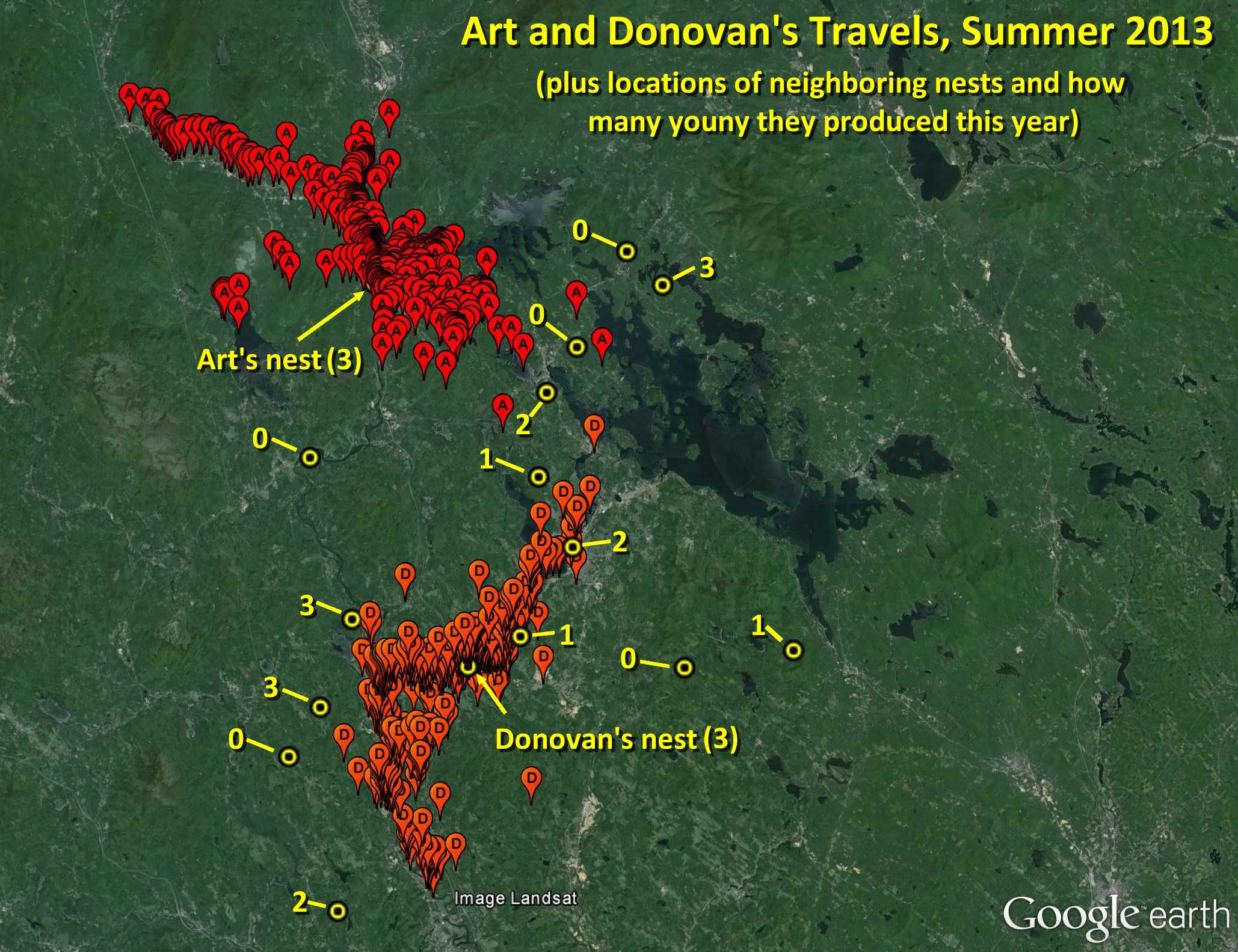 Art and Donovan's territories summer 2013